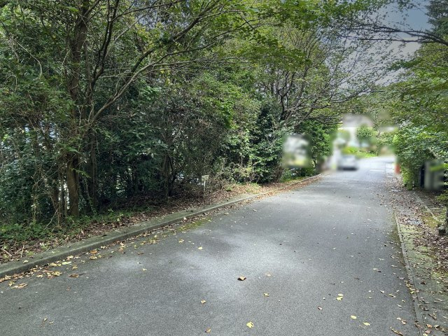 エンゼルフォレスト伊豆富士見高原小松ヶ原①の前面道路含む現地写真