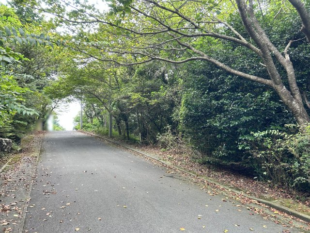 エンゼルフォレスト伊豆富士見高原小松ヶ原①の前面道路含む現地写真