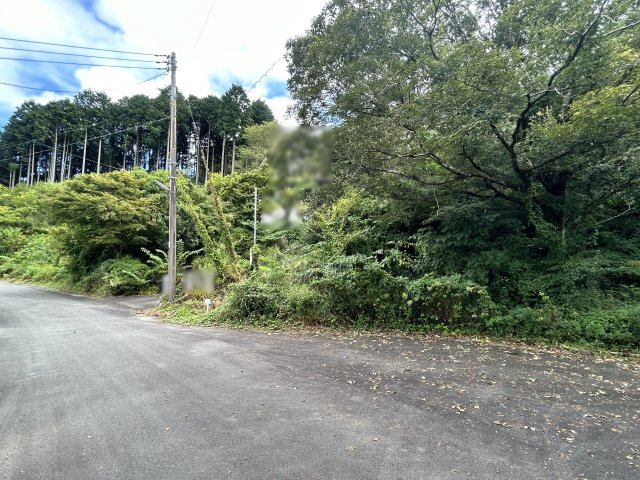 エンゼルフォレスト伊豆富士見高原小松ヶ原②の前面道路含む現地写真