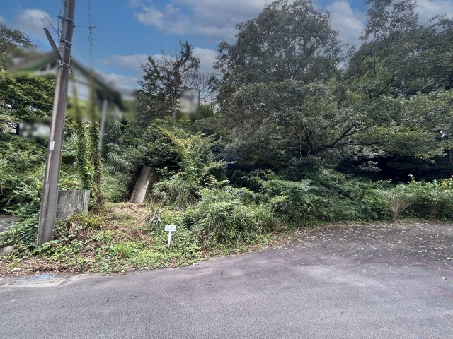 エンゼルフォレスト伊豆富士見高原小松ヶ原②の外観