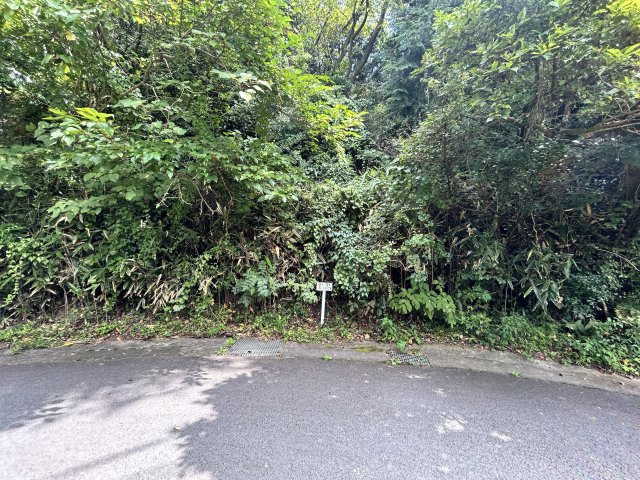 エンゼルフォレスト伊豆富士見高原小松ヶ原③