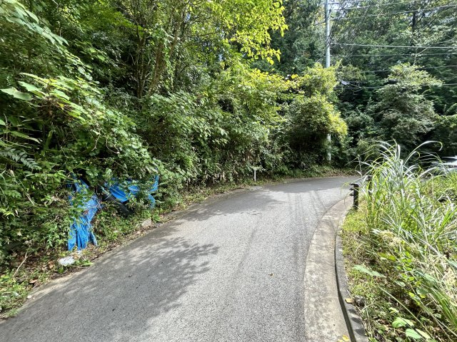 エンゼルフォレスト伊豆富士見高原小松ヶ原③の前面道路含む現地写真