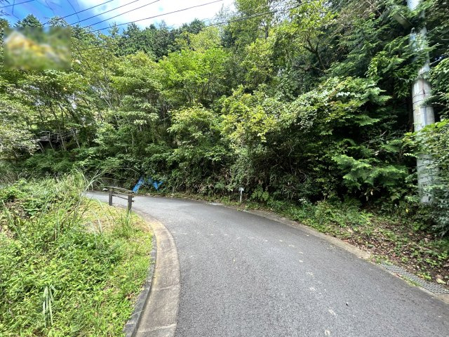 エンゼルフォレスト伊豆富士見高原小松ヶ原③の前面道路含む現地写真