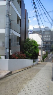 【周辺】 | フィーノ渋谷