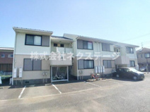 スプルース・KOYAMAの画像