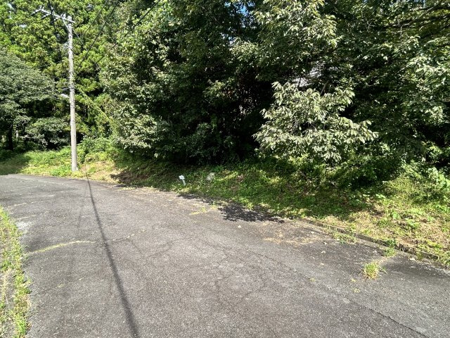 伊豆富士見ニュータウン別荘地⑪の前面道路含む現地写真