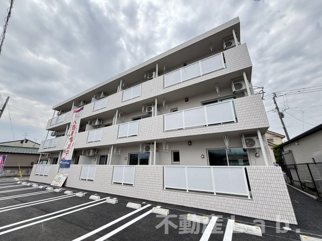 オレンジの外観