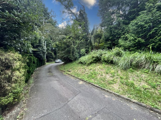 伊豆富士見ニュータウン別荘地⑬の前面道路含む現地写真