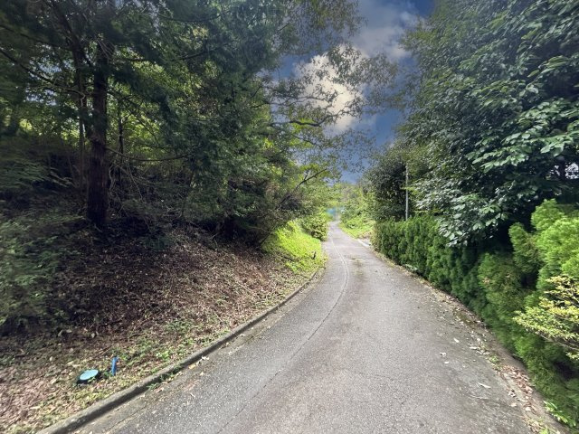 伊豆富士見ニュータウン別荘地⑬の前面道路含む現地写真