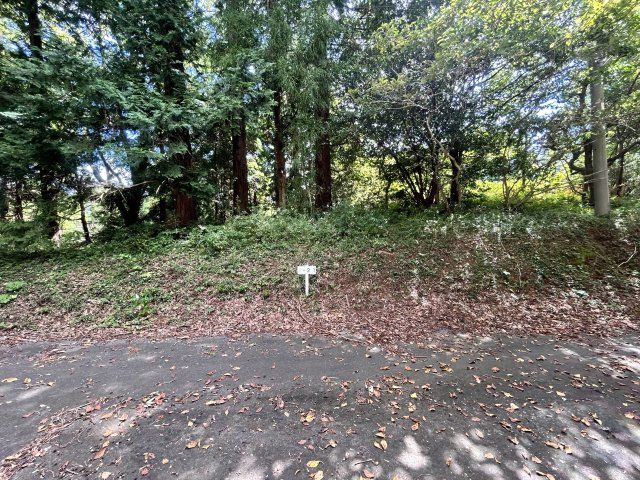 伊豆富士見ニュータウン別荘地⑮