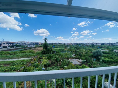 【展望】 | 所沢市上安松　中古 | 東側は自然あふれる環境で癒されます♪