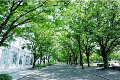 【周辺】 | ヴィー・クオレ レジデンス栄二丁目