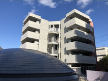 Ns21やごとの画像