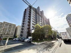 シティハウス豊洲キャナルテラス