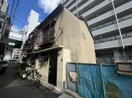 ウデツカチョウコダテの画像