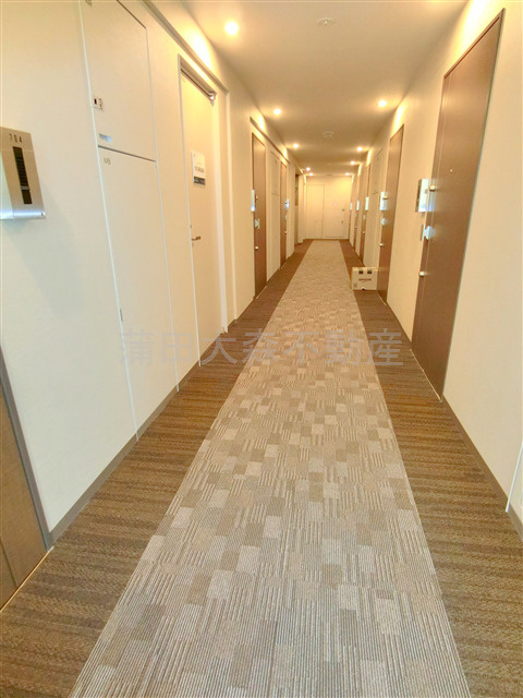 フレンシア蒲田のその他共用部分|ホテルのようなカーペット敷の内廊下！