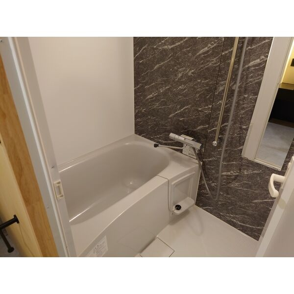 LeGioie太閤通駅2の浴室