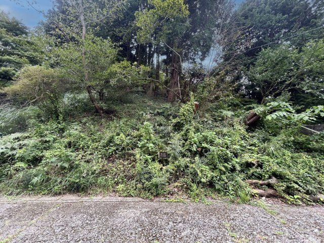 南箱根ダイヤランド④