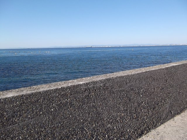 【展望】 | 淡路市浅野南　別荘・保養所等の土地