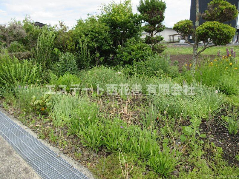 花巻市円万寺字下中野　土地建物の庭