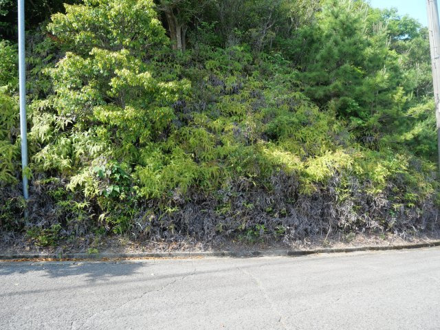 Villa Town紀ノ郷②の外観