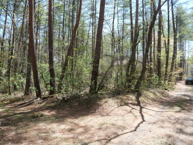 浅間高原台別荘地①