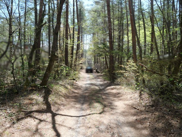 浅間高原台別荘地①の前面道路含む現地写真