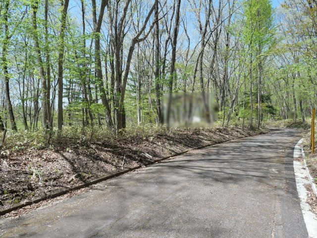 南草津羽根尾別荘地①の前面道路含む現地写真
