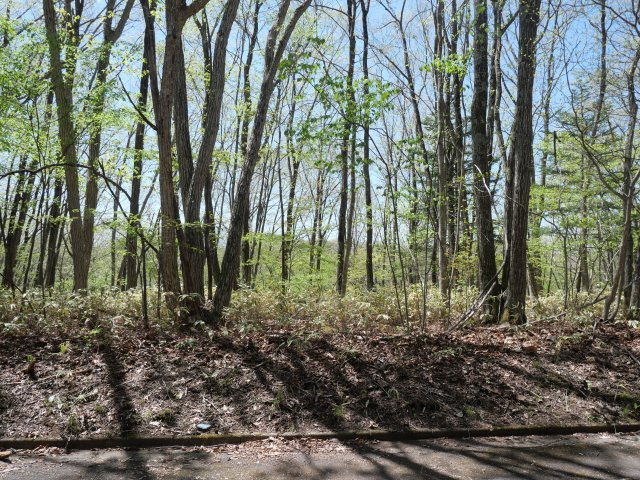 南草津羽根尾別荘地①の外観