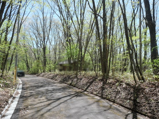 南草津羽根尾別荘地①の前面道路含む現地写真
