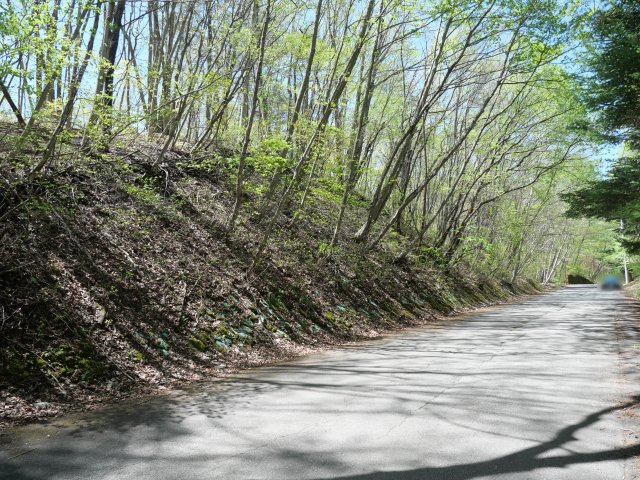 南草津羽根尾別荘地②