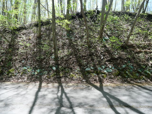 南草津羽根尾別荘地②の外観