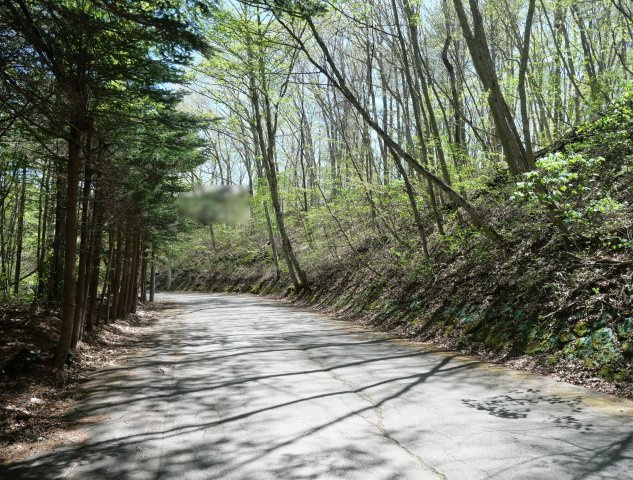 南草津羽根尾別荘地②の前面道路含む現地写真