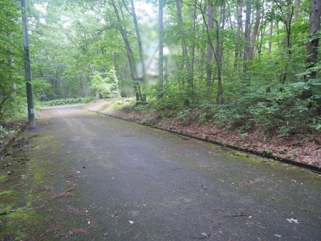 しゃくなげ平第二別荘地②の外観