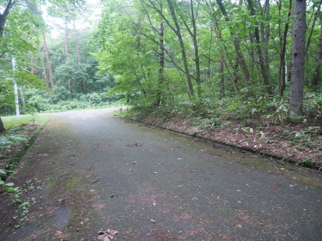しゃくなげ平第二別荘地②の前面道路含む現地写真