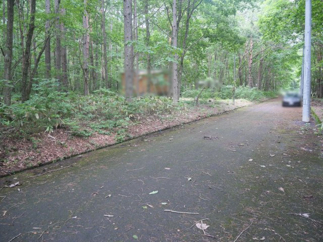 しゃくなげ平第二別荘地②の前面道路含む現地写真