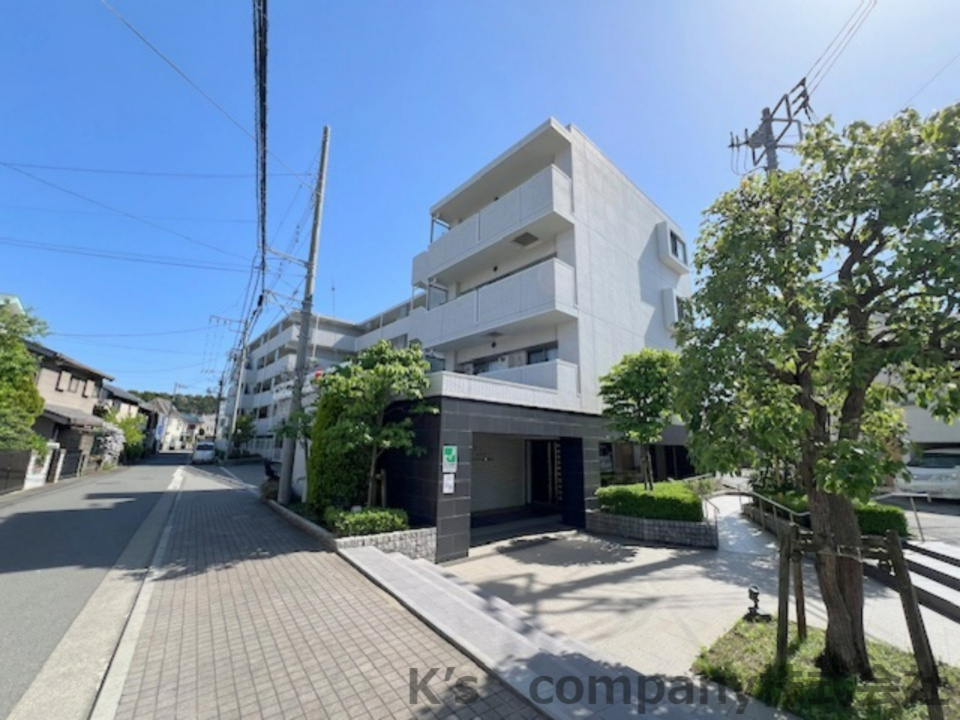 茅ヶ崎市柳島海岸　クリオ茅ヶ崎柳島海岸の外観|前面道路の様子です◇