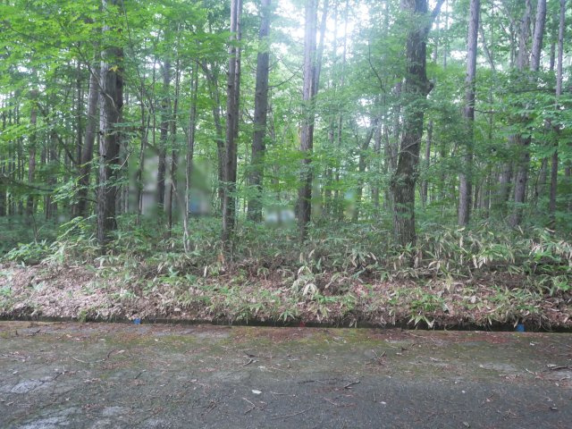 しゃくなげ平第二別荘地③