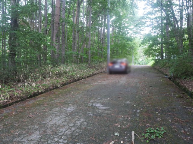 しゃくなげ平第二別荘地③の前面道路含む現地写真