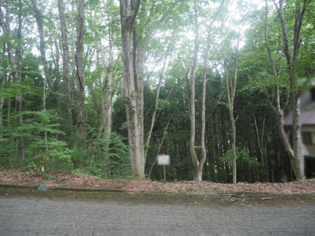 しゃくなげ平第二別荘地④