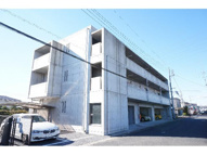 Ｌｏｒｉｎｓｅｒ　Ｄｏｒｆの画像