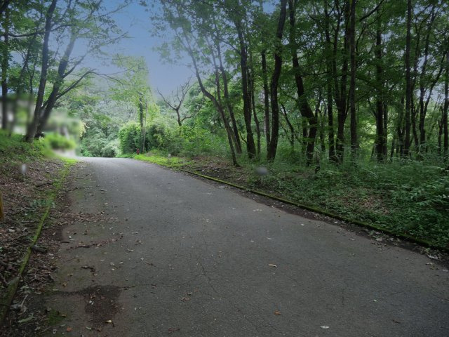 玉取平別荘地①の前面道路含む現地写真