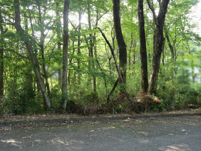 那須レイクサイド別荘地①の外観