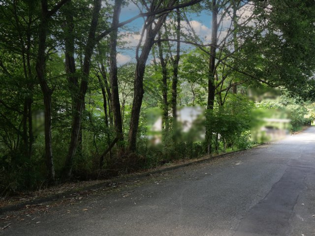 那須レイクサイド別荘地①の前面道路含む現地写真