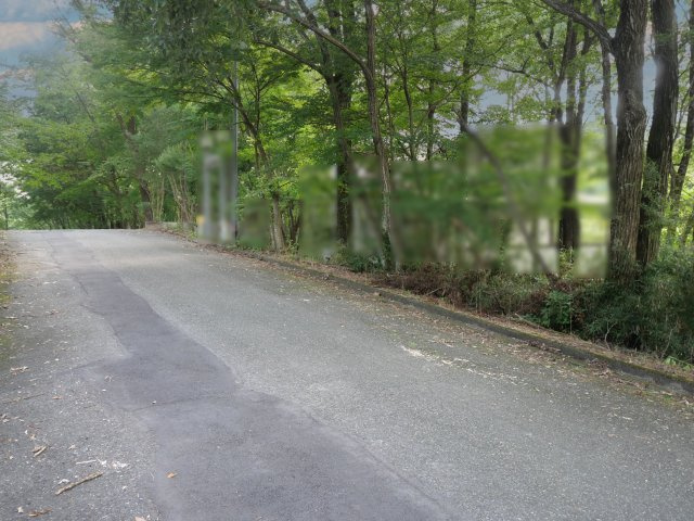 那須レイクサイド別荘地①の前面道路含む現地写真