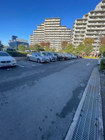 大宮　南与野徒歩12分　徒歩圏内　コンビニ近いの駐車場|平面駐車場