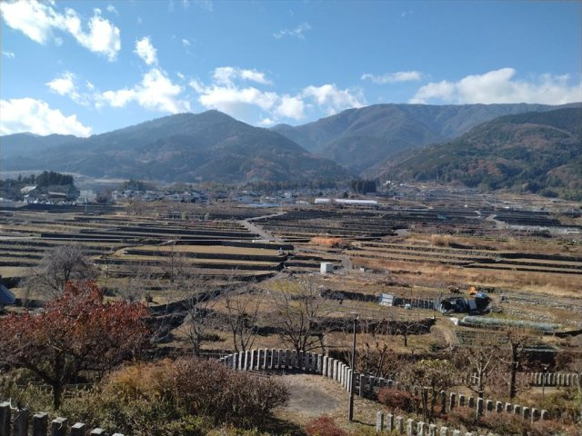 上市之瀬高台111坪土地の周辺