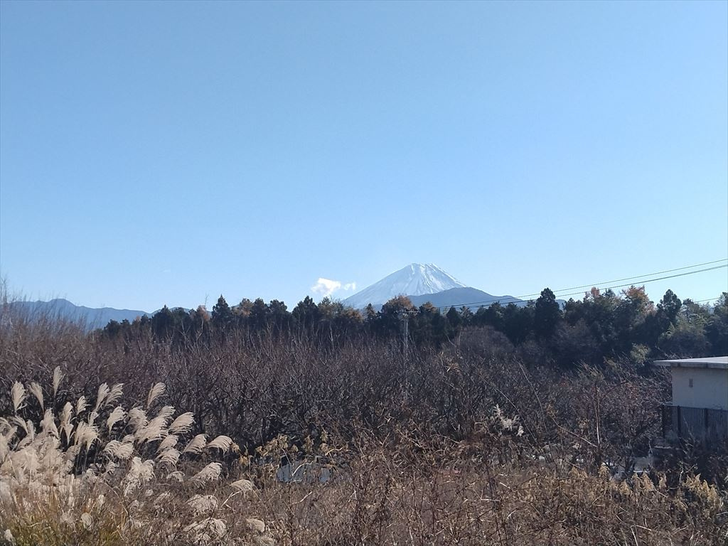 上市之瀬高台111坪土地の周辺