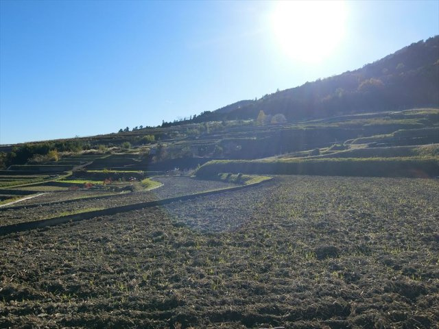 上市之瀬高台111坪土地の周辺|中野の棚田
