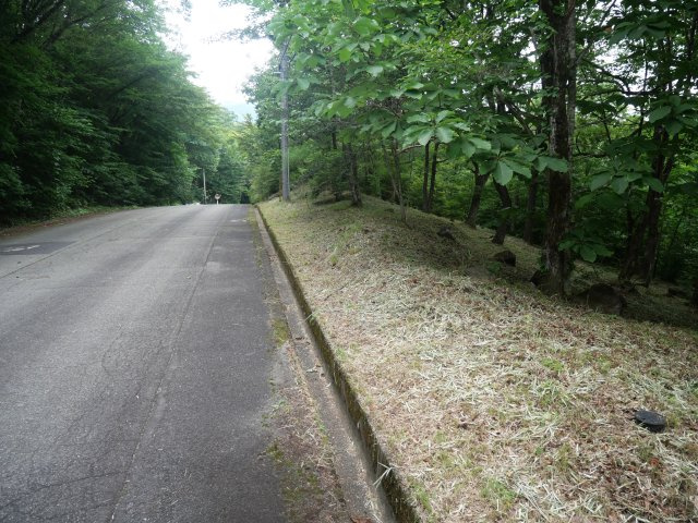 エンゼルフォレスト那須②の前面道路含む現地写真|(東側)